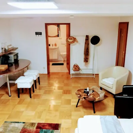 Studio Bodensee Apartamento Daisendorf